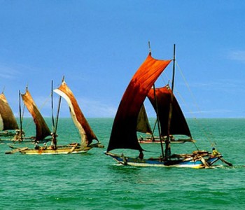 negombo-fishing.jpg