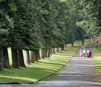 peradeniya-botanical-gardens-3.jpg