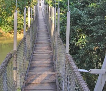 peradeniya-botanical-gardens-bridge.jpg