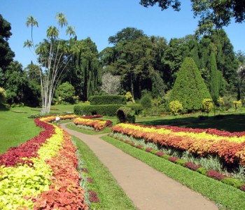 peradeniya-botanical-gardens.jpg
