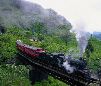on-train-to-nuwaraeliya.jpg